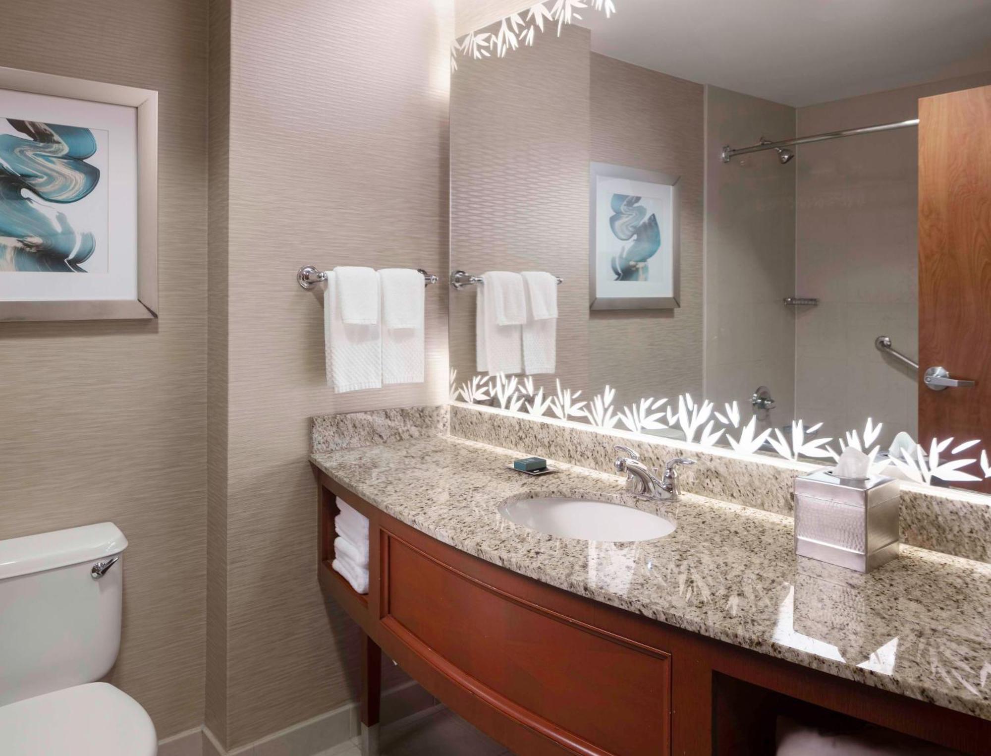 Hilton St. Petersburg Carillon Park Otel Dış mekan fotoğraf